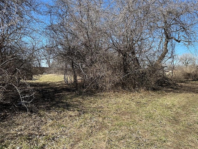 view of local wilderness