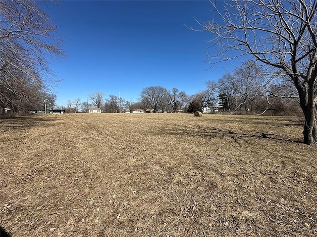 view of yard featuring a rural view