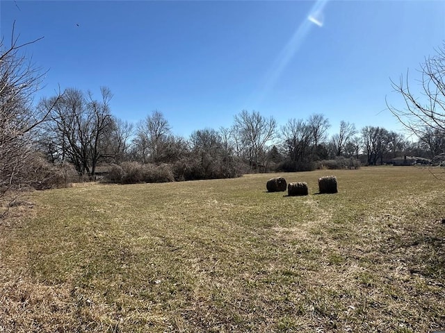 view of yard featuring a rural view