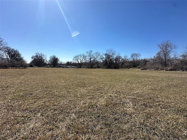 view of yard featuring a rural view