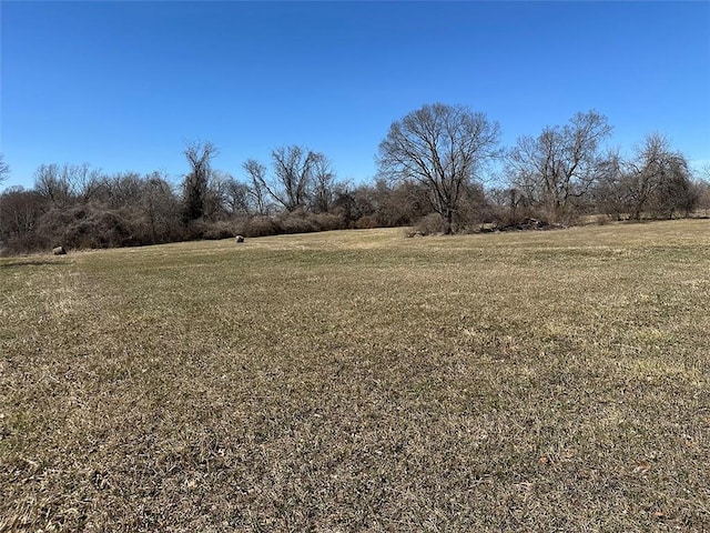 view of yard featuring a rural view