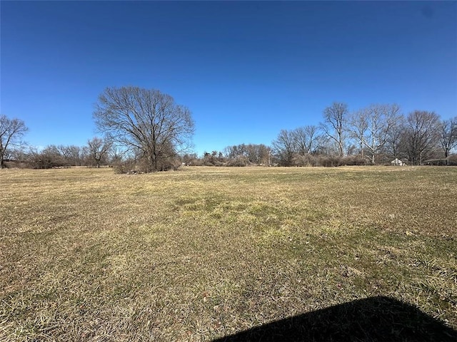 view of yard with a rural view