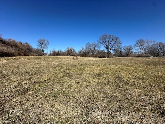 view of yard with a rural view