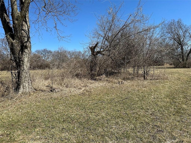 view of local wilderness