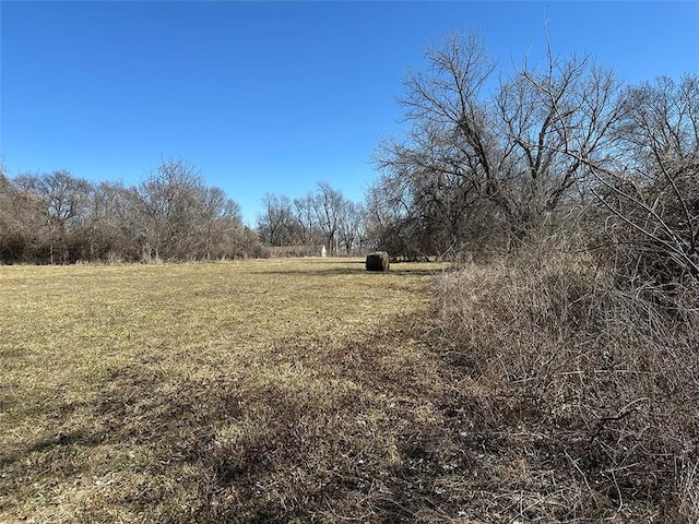 view of yard with a rural view