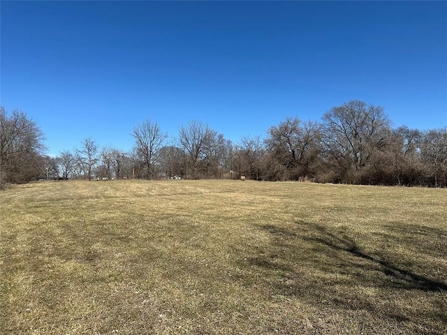 view of yard featuring a rural view