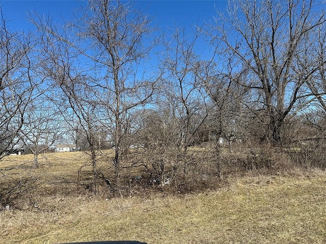 view of landscape