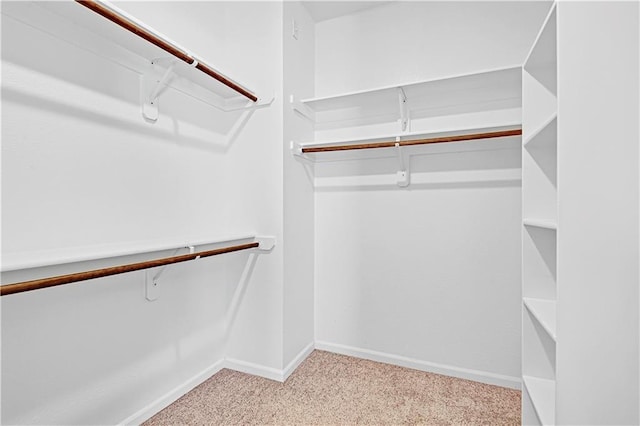 spacious closet featuring light colored carpet