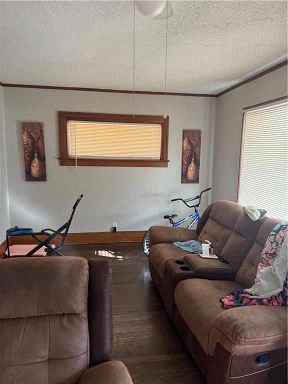 living area with a textured ceiling, wood finished floors, and crown molding