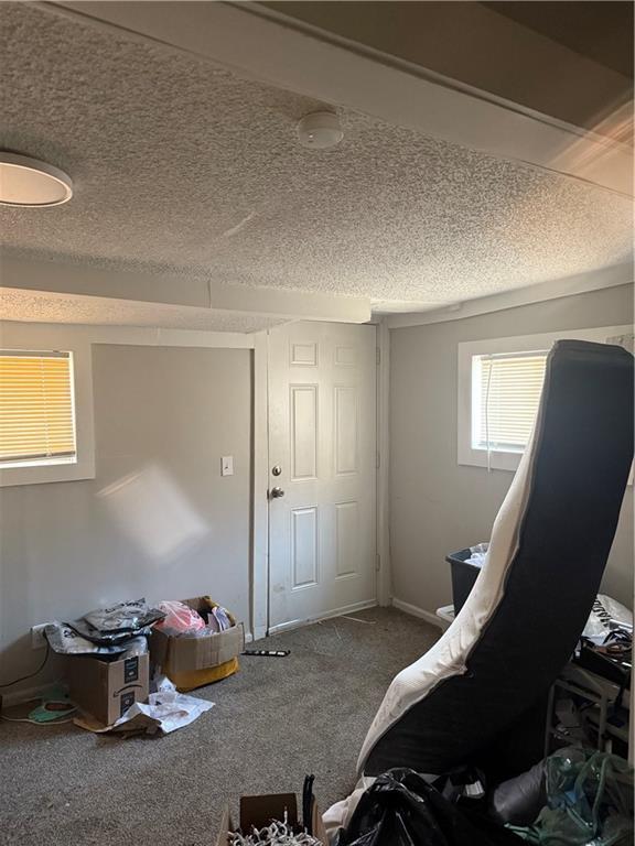 bedroom featuring carpet flooring and a textured ceiling