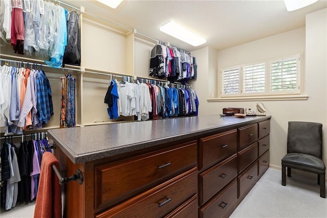 walk in closet with light carpet