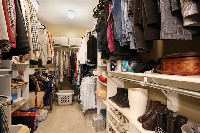 spacious closet featuring carpet flooring