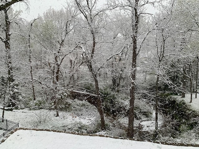 view of snow covered land