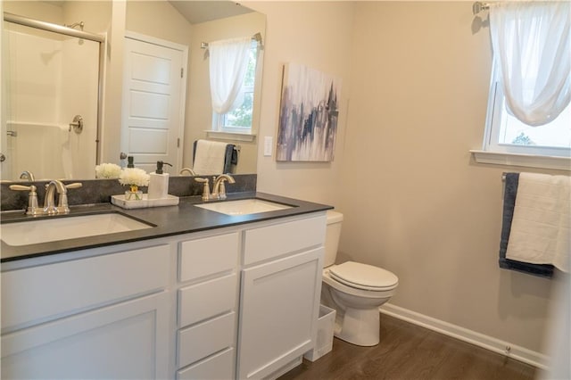 full bathroom with a wealth of natural light, a sink, a shower stall, and toilet