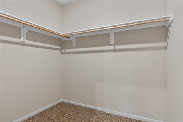 spacious closet with carpet floors