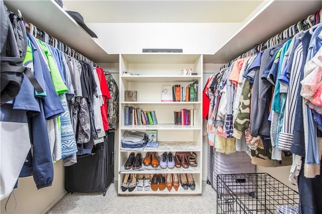 view of spacious closet