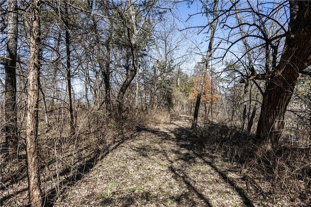 view of local wilderness