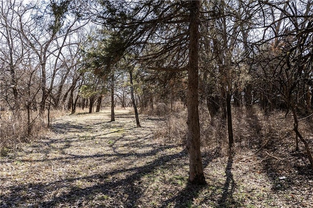 view of local wilderness