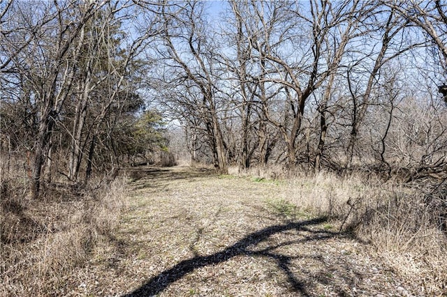 view of local wilderness