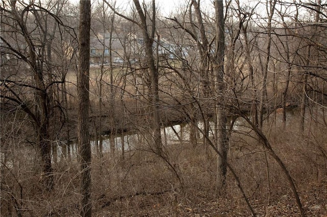 705 NE Noeleen Ln, Lees Summit, MO 64086