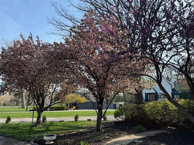 surrounding community featuring a yard