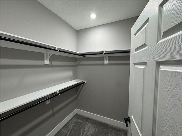 415 E Hale St, Spring Hill, KS 66083 - walk in closet with dark carpet