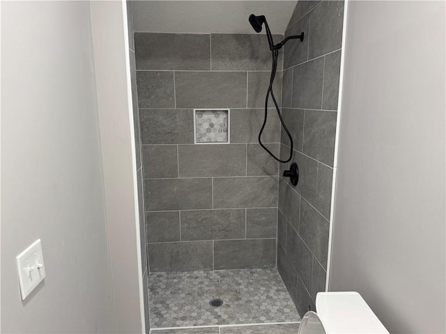 415 E Hale St, Spring Hill, KS 66083 - full bathroom with tiled shower and toilet