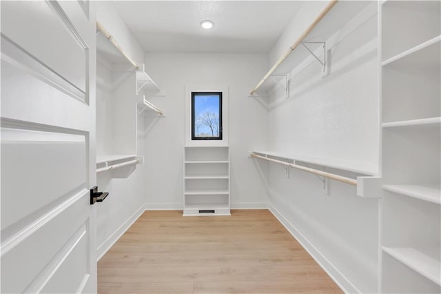 spacious closet featuring light wood-style floors