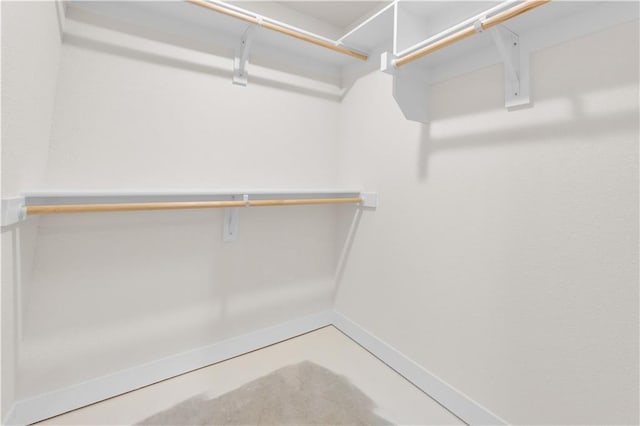 view of walk in closet