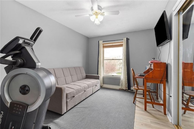 17259 174th St, Basehor, KS 66007 - living area with ceiling fan and light wood-style floors