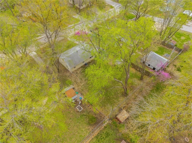 bird's eye view