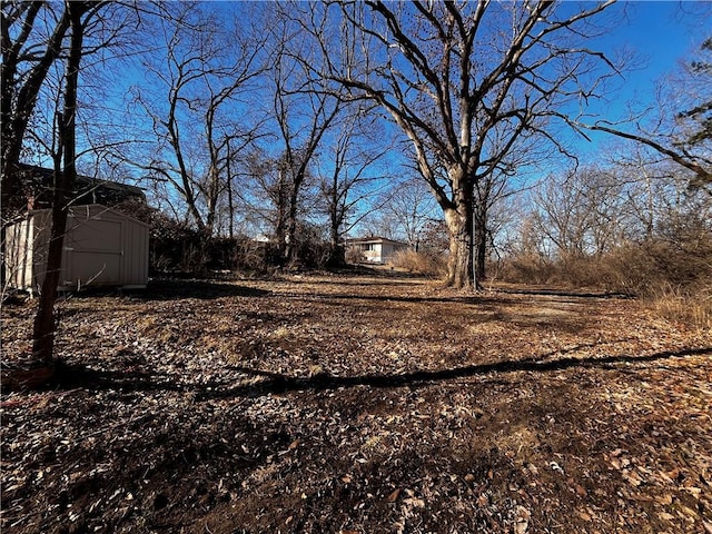 view of yard with a shed and an outbuilding