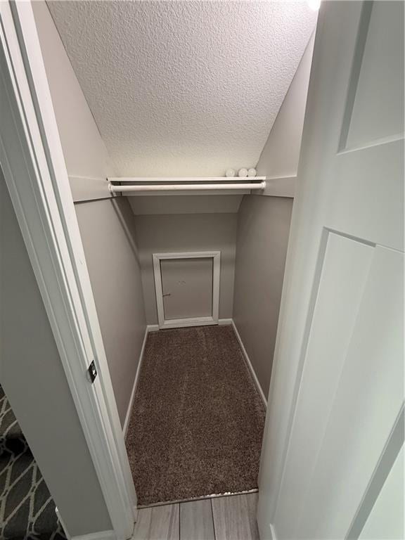 walk in closet with light carpet