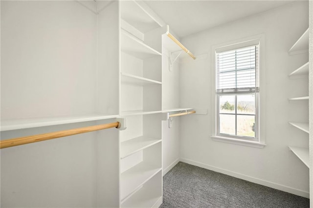 16059 Fontana St Unit 205, Overland Park, KS 66085 - walk in closet with carpet