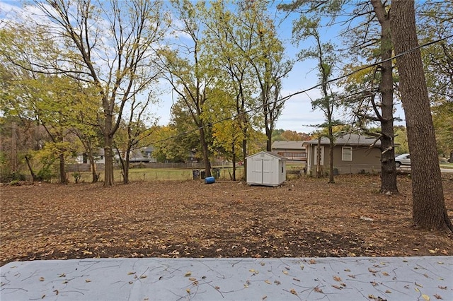 view of yard with an outdoor structure and a storage unit