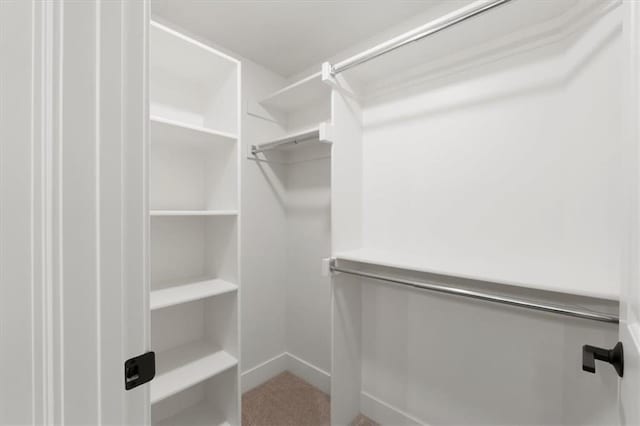 walk in closet featuring carpet