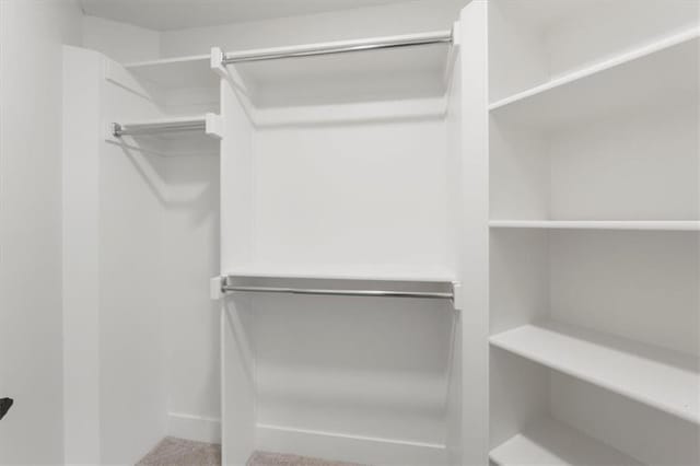 view of walk in closet