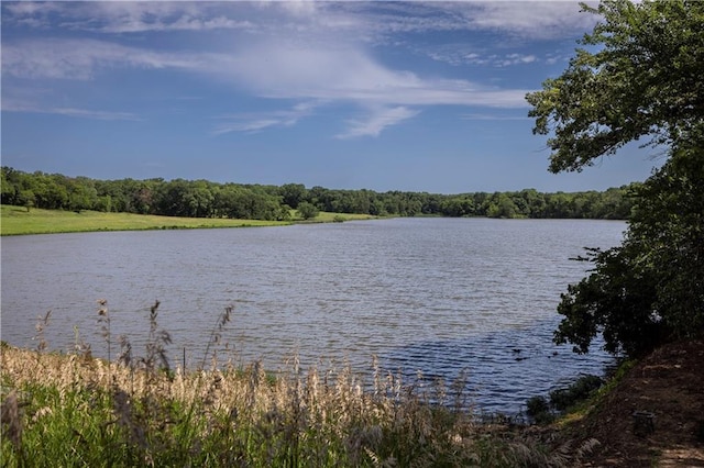 view of water feature featuring a wooded view