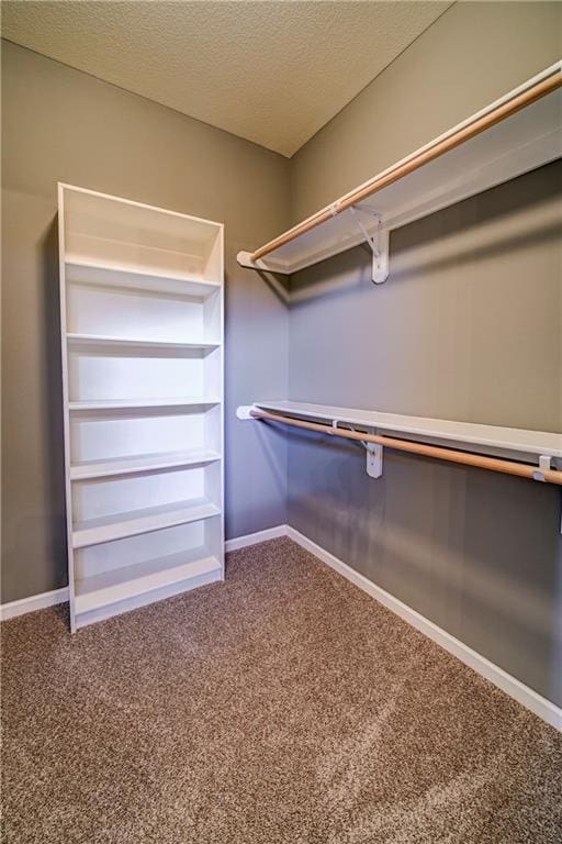 walk in closet featuring carpet