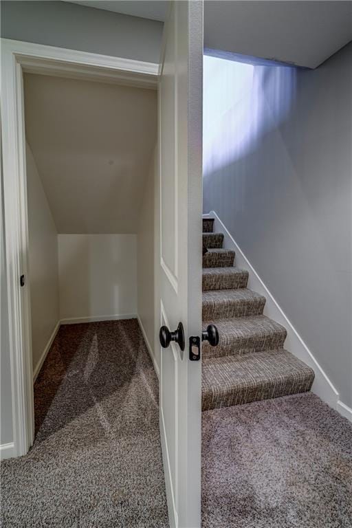 stairway with baseboards and carpet floors