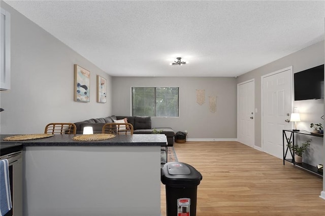 living room featuring light wood-type flooring, a textured ceiling, and baseboards