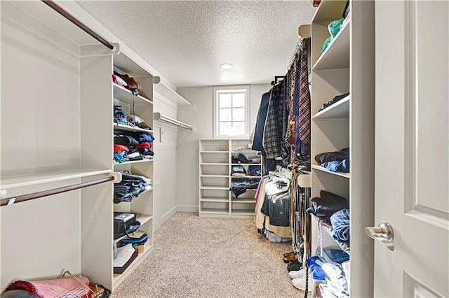 walk in closet with carpet