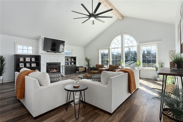 living room featuring dark wood finished floors, plenty of natural light, and beamed ceiling