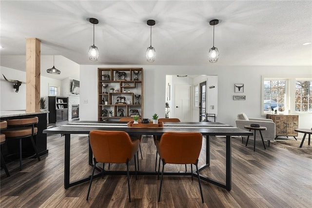 interior space with a healthy amount of sunlight, pendant lighting, and dark wood finished floors