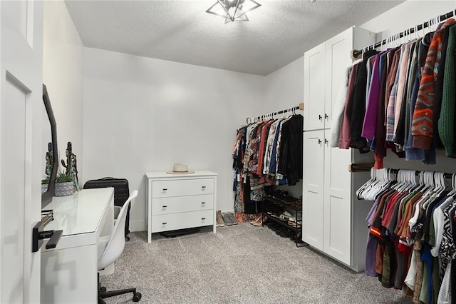 spacious closet featuring light colored carpet