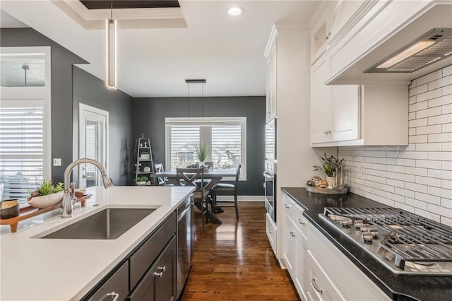 4510 NW 70th Ter, Kansas City, MO 64151 - kitchen featuring dark wood finished floors, custom exhaust hood, a sink, white cabinets, and appliances with stainless steel finishes