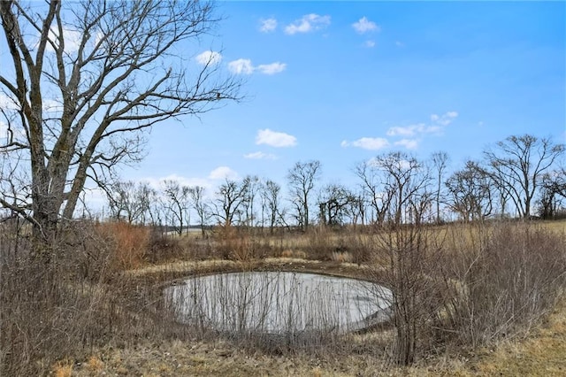 view of nature with a water view