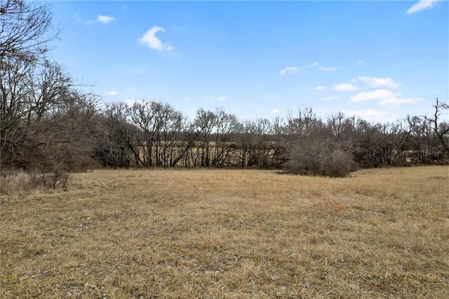 view of local wilderness with a rural view