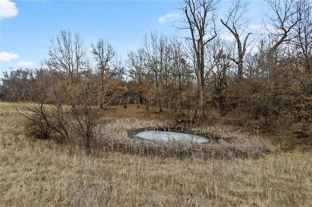 view of landscape