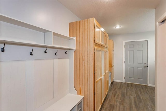 5990 Z Hwy, Edgerton, MO 64444 - mudroom featuring dark wood finished floors, baseboards, and a textured ceiling